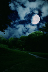 Similar image 513738