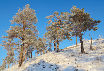 Similar image 513761