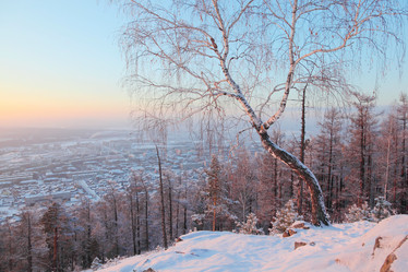 Similar image 513769