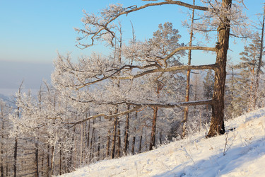 Similar image 513768