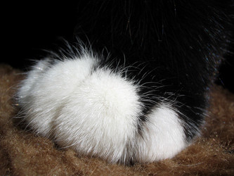 Similar image 513792