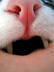 Similar image 513793