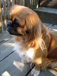 Similar image 513796