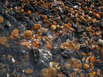 Similar image 513819