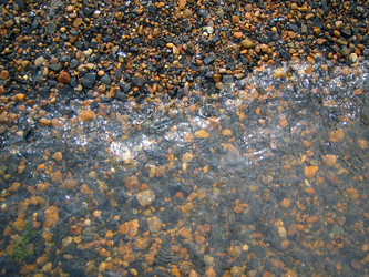 Similar image 513822