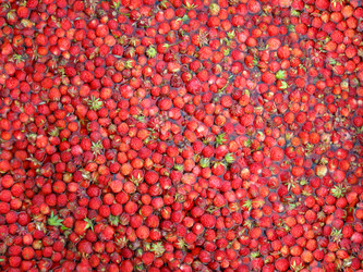 Similar image 513826