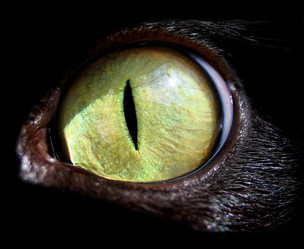 Similar image 513845