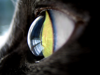 Similar image 513846