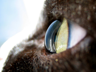 Similar image 513848