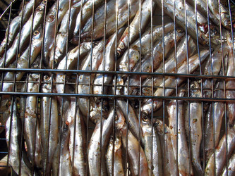 Similar image 513870