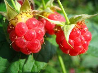 Similar image 513888