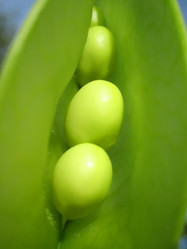 Similar image 513889