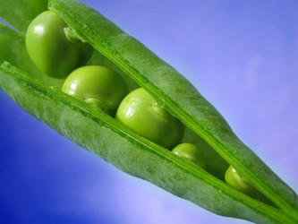 Similar image 513891