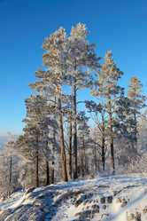 Similar image 513902