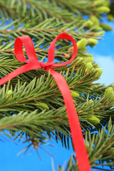 Similar image 513951