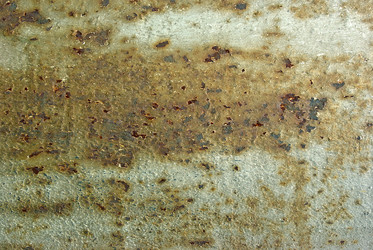 Similar image 513962