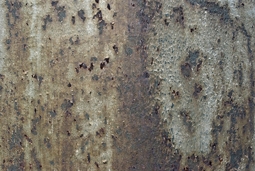 Similar image 513964