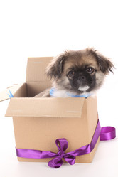 Similar image 513975