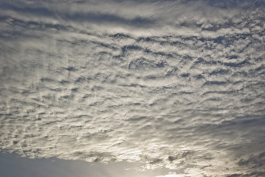 Similar image 513995