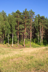 Similar image 514050