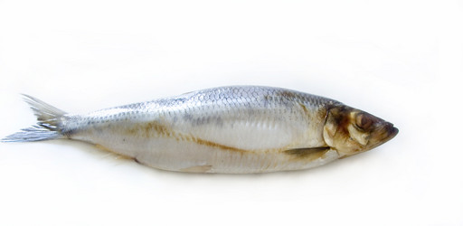 Similar image 514056