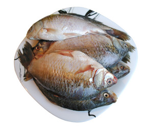 Similar image 514185