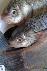 Similar image 514189