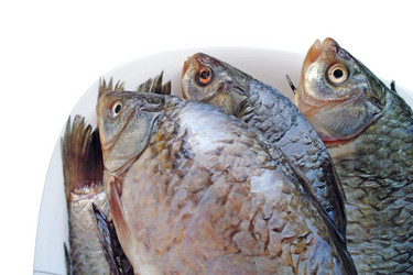 Similar image 514191