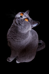 Similar image 514199