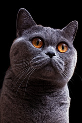 Similar image 514200