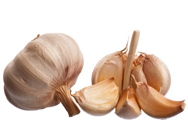 Similar image 514275