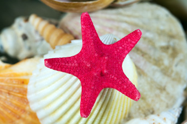 Similar image 514297