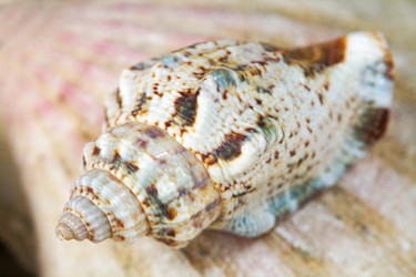 Similar image 514300