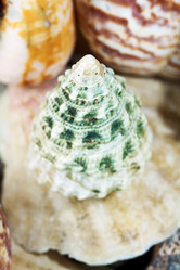 Similar image 514306