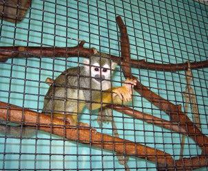 Similar image 514310