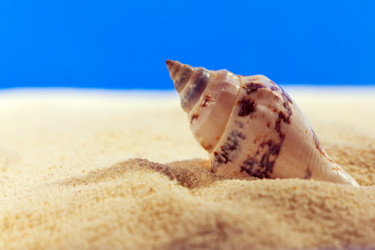 Similar image 514314