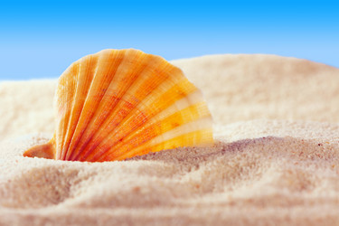 Similar image 514317