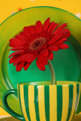 Similar image 514323