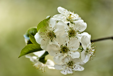 Similar image 514333