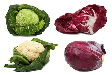 Similar image 514341