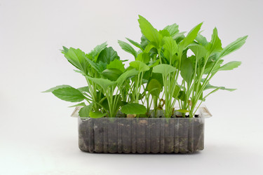 Similar image 514344