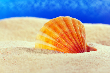 Similar image 514375