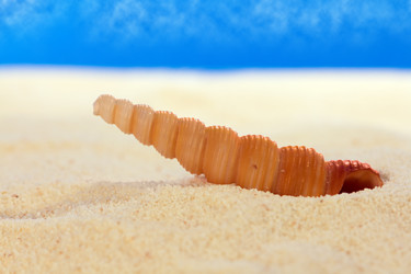 Similar image 514381