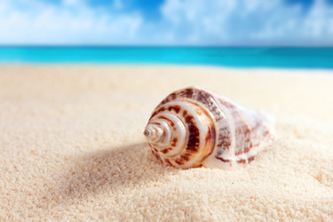 Similar image 514383