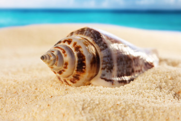 Similar image 514384