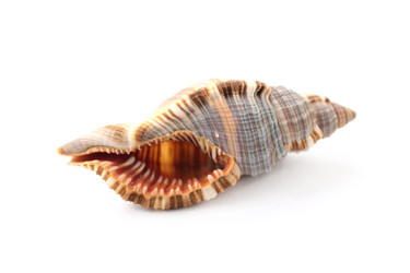 Similar image 514385