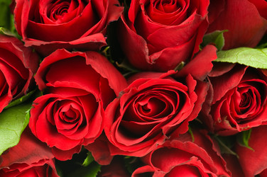 Similar image 514387