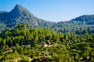 Similar image 514393