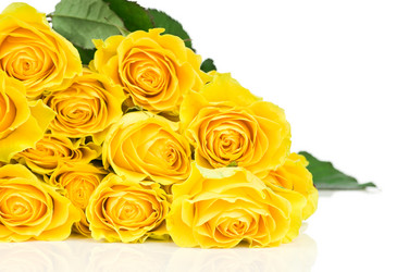 Similar image 514418