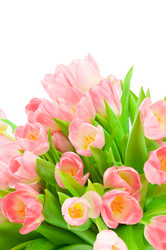 Similar image 514420